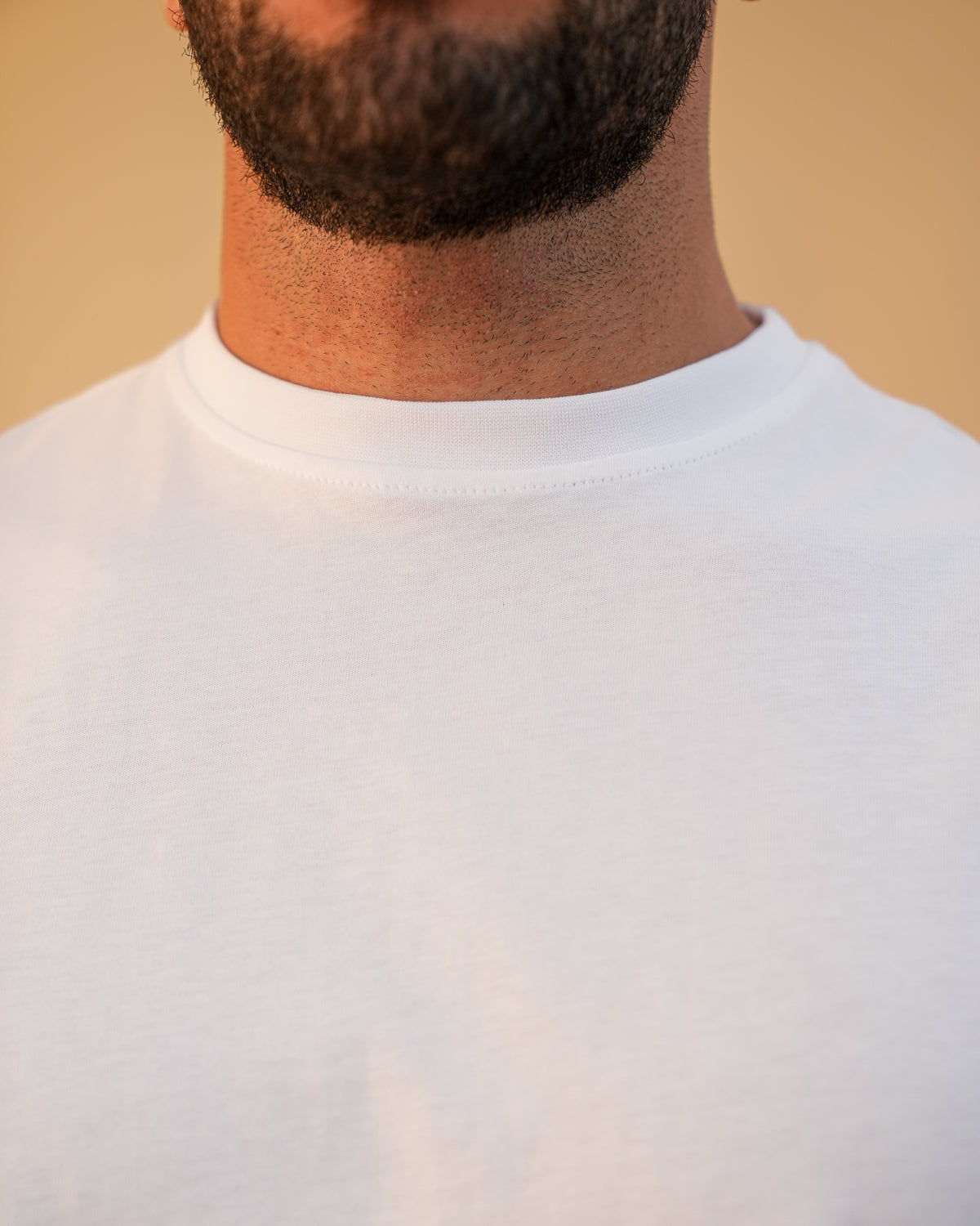 Basic Crewneck Tee White